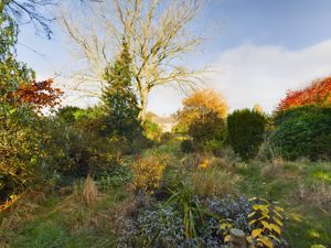 Garden- click for photo gallery